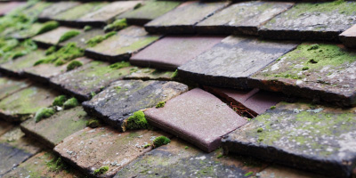 Sparsholt roof repair costs